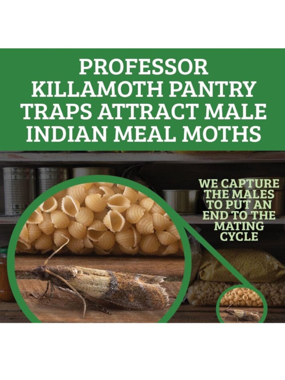 ⭐️ $8 - (SET OF 3) PROFESSOR KILLAMOTH PANTRY MOTH TRAPS - NON-TOXIC - Picture 6 of 9